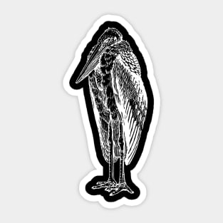 Stork Adjutant Bird Standing Sticker